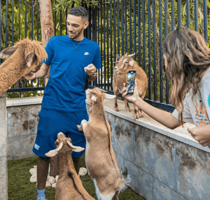 Tails of Cairo Petting Zoo